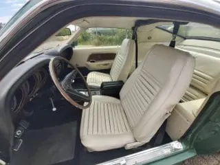 1969 Ford Mustang Shelby GT350 — photo 25