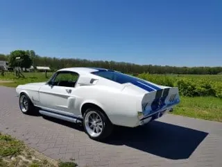 1967 Ford Mustang Fastback Shelby — photo 8
