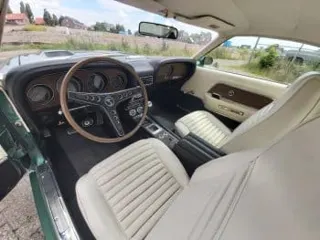 1969 Ford Mustang Shelby GT350 — photo 36