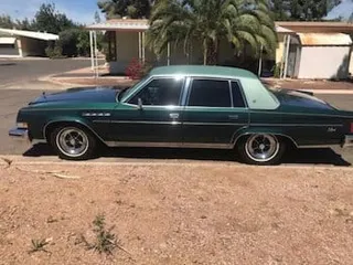 1977 Buick Electra — photo 31