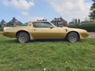 1979 Pontiac Trans am — photo 14