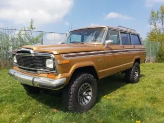 1983 Jeep Wagoneer — photo 19