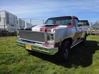 1977 Chevrolet Pick up — photo 19