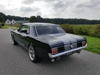 1965 Ford Mustang Cobra GT350 — photo 14