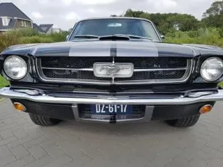 1965 Ford Mustang Cobra GT350 — photo 29