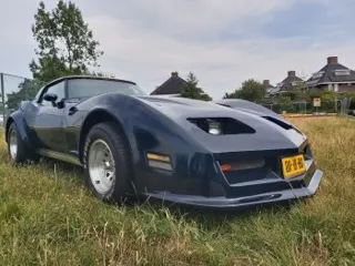 1979 Chevrolet Corvette Daytona — photo 8