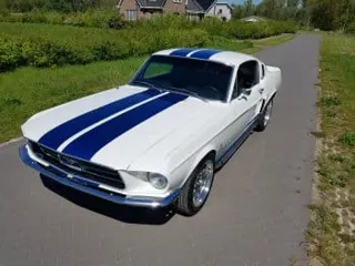 1967 Ford Mustang Fastback Shelby — photo 5