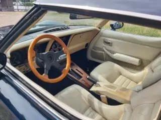 1979 Chevrolet Corvette Daytona — photo 19