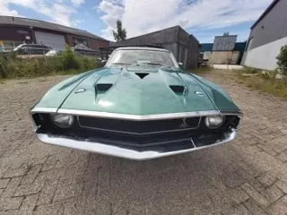 1969 Ford Mustang Shelby GT350 — photo 1