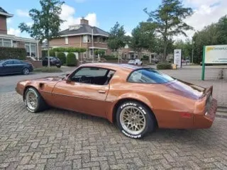 1980 Pontiac Trans Am — photo 2