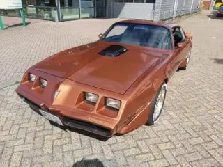 1980 Pontiac Trans Am — photo 3