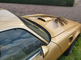 1979 Pontiac Trans am — photo 18