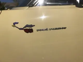 1969 Plymouth Road Runner — photo 9