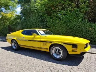 1971 Ford Mustang Mach1 — photo 29