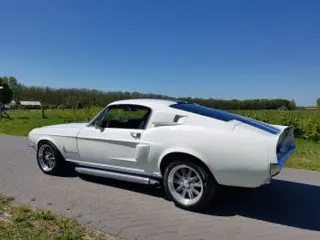 1967 Ford Mustang Fastback Shelby — photo 7
