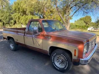 1977 Chevrolet C20 pick up — photo 5