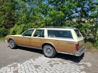 1979 Chevrolet Caprice wagon — photo 28