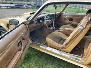 1979 Pontiac Trans am — photo 17