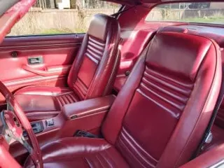 1979 pontiac Trans Am — photo 2