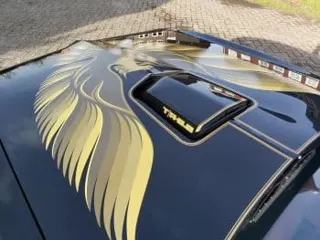 1979 pontiac Trans Am — photo 33