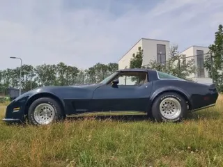 1979 Chevrolet Corvette Daytona — photo 7