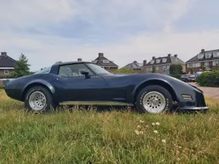 1979 Chevrolet Corvette Daytona — photo 10