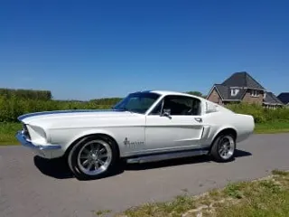 1967 Ford Mustang Fastback Shelby — photo 6