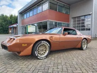 1980 Pontiac Trans Am — photo 9