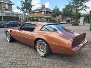 1980 Pontiac Trans Am — photo 15