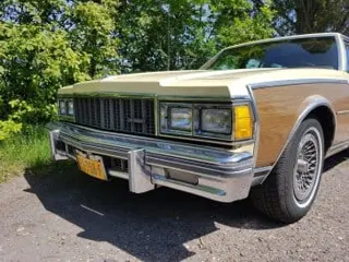 1979 Chevrolet Caprice wagon — photo 6