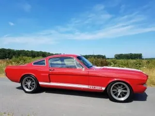 1965 Ford Mustang GT350 Shafiroff — photo 22