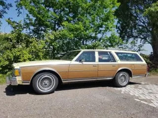 1979 Chevrolet Caprice wagon — photo 27