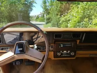 1979 Chevrolet Caprice wagon — photo 23