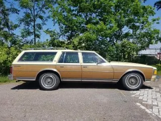 1979 Chevrolet Caprice wagon — photo 21