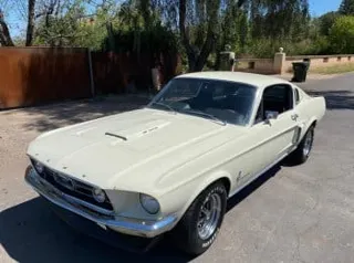 1967 Ford Mustang Fastback Shelby — photo 19