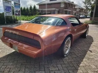 1980 Pontiac Trans Am — photo 7