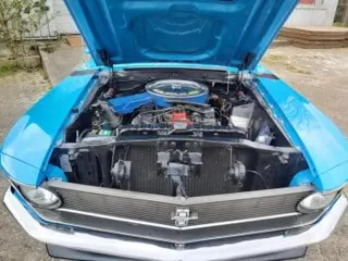 1970 Ford Mustang Boss 302 — photo 22
