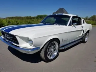 1967 Ford Mustang Fastback Shelby — photo 3