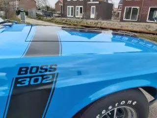 1970 Ford Mustang Boss 302 — photo 5