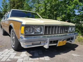 1979 Chevrolet Caprice wagon — photo 16