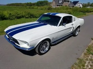 1967 Ford Mustang Fastback Shelby — photo 4