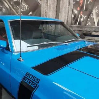 1970 Ford Mustang Boss 302 — photo 39