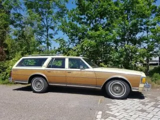 1979 Chevrolet Caprice wagon — photo 12