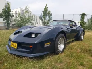 1979 Chevrolet Corvette Daytona — photo 1