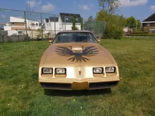 1979 Pontiac Trans am — photo 13