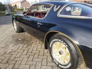 1979 pontiac Trans Am — photo 4