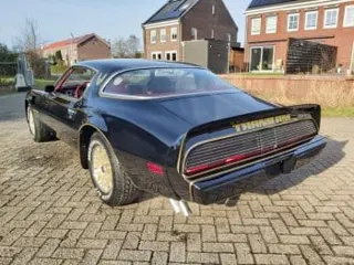 1979 pontiac Trans Am — photo 10