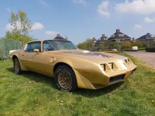 1979 Pontiac Trans am — photo 16