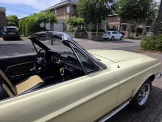 1967 Ford Mustang Convertible Springtime Yellow — photo 5