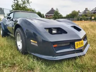 1979 Chevrolet Corvette Daytona — photo 14